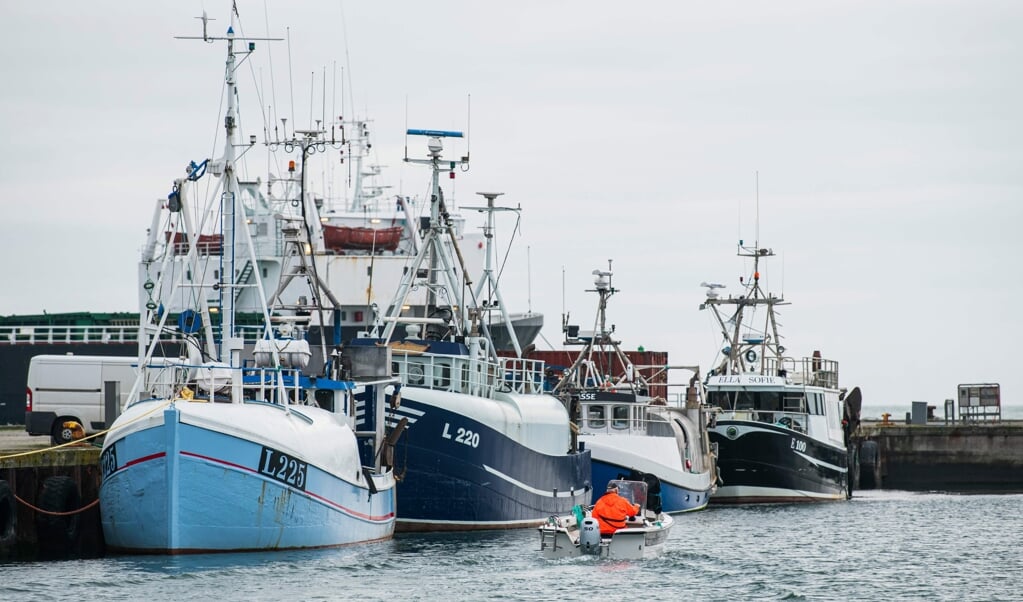 Danmarks Fiskeriforening er positivt stemt over for, at det er lykkes EU at indgå en aftale med Storbritannien om fiskekvoter for 2021. (Arkivfoto) (Jonathan Nackstrand/Ritzau Scanpix)