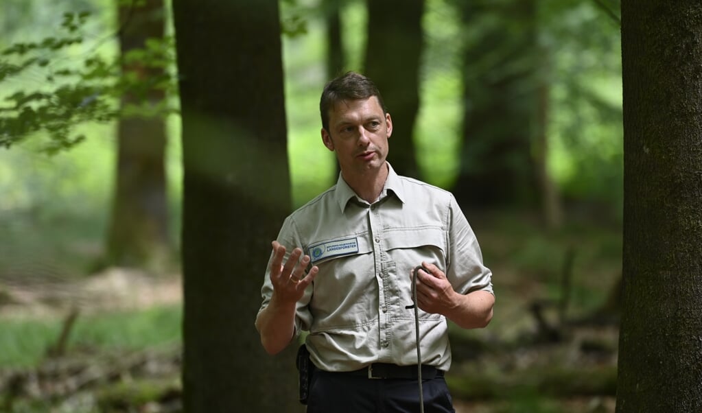 »Wir bauen den Wald um«, erklärte Udo Harriehausen von den Landesforsten. Ein Bestandteil ist dabei das Habitatbaum-Konzept, bei dem 80.000 »Dinos« unter Schutz gestellt werden. Fotos: (Martin Ziemer)