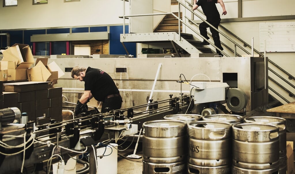 Interessen for alkoholfri øl er steget de seneste år, melder flere supermarkeder, og Coop henviser til et større og bedre udvalg af varer. Her ses Bryggeriet Skands i Brøndbyøster, der i 2018 føjede en alkoholfri øl til sortimentet. Arkivfoto: (Anne Bæk, Ritzau Scanpix)
