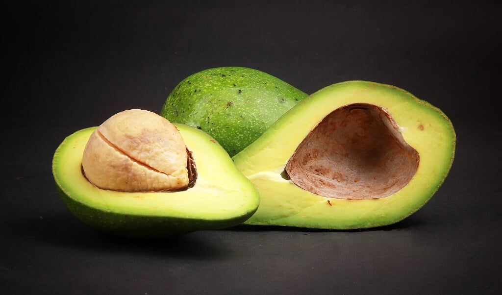 Avocado hører til low carb diæten. 80 procent af kalorierne i avokadoer kommer fra fedt, og halvdelen af det fra enkeltumættede fedtsyrer. Dertil kommer, at avokadoer kun indeholder ni gram kulhydrater, hvoraf hovedparten er kostfibre, som er med til at sikre et sundt mavetarm-system.  ( Pixabay)