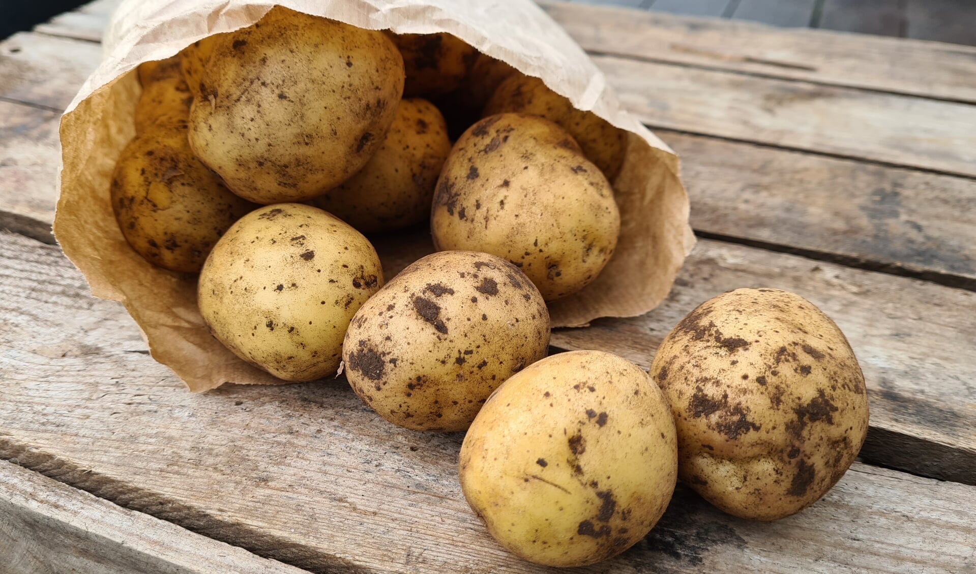 Kartofler er sunde, selv om de seneste års kulhydrat-forskrækkelse har været hård kost for dem.