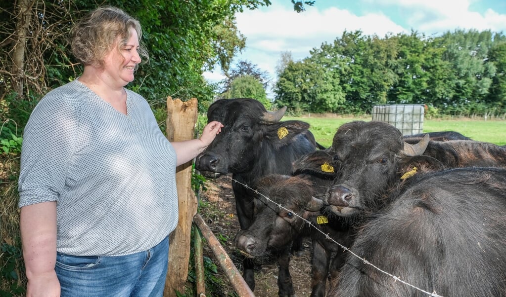 Bärbel Feddersen ist auf »Feddersens Farm« die Büffel-Chefin, wo der Betrieb nun komplett auf die Haltung der sanftmütigen Wasserbüffel umgestellt wird. ( Sven Geißler)