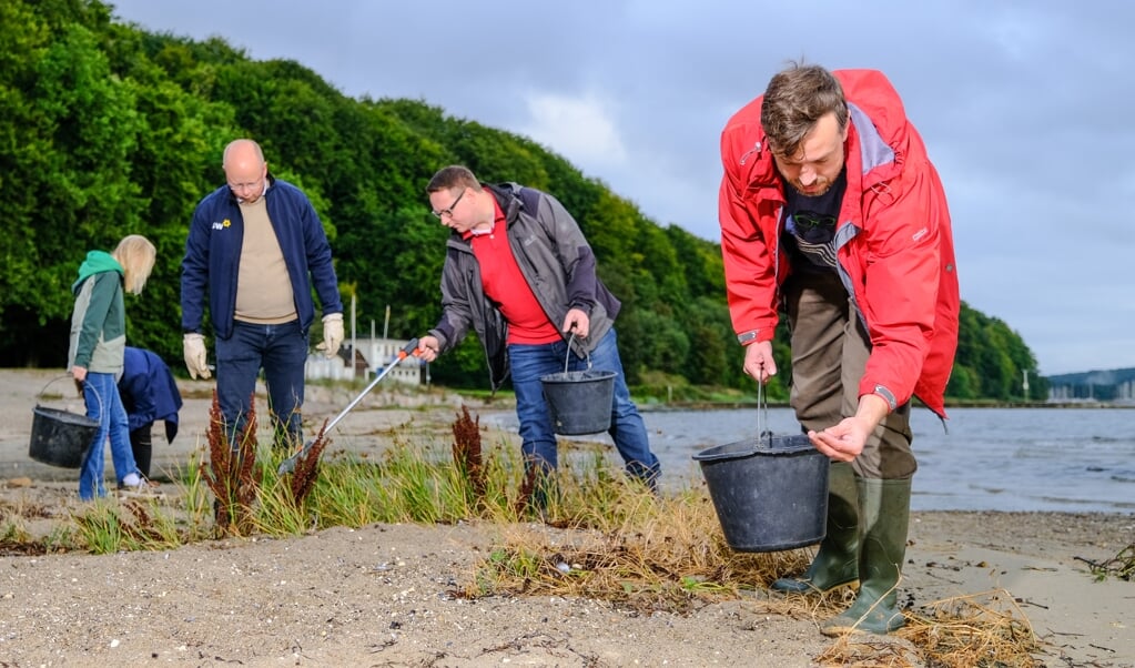 Miljøekspert Steffen Werz og en flok SSWere gjorde rent på stranden Ostseebad lørdag morgen. (Sven Geißler)