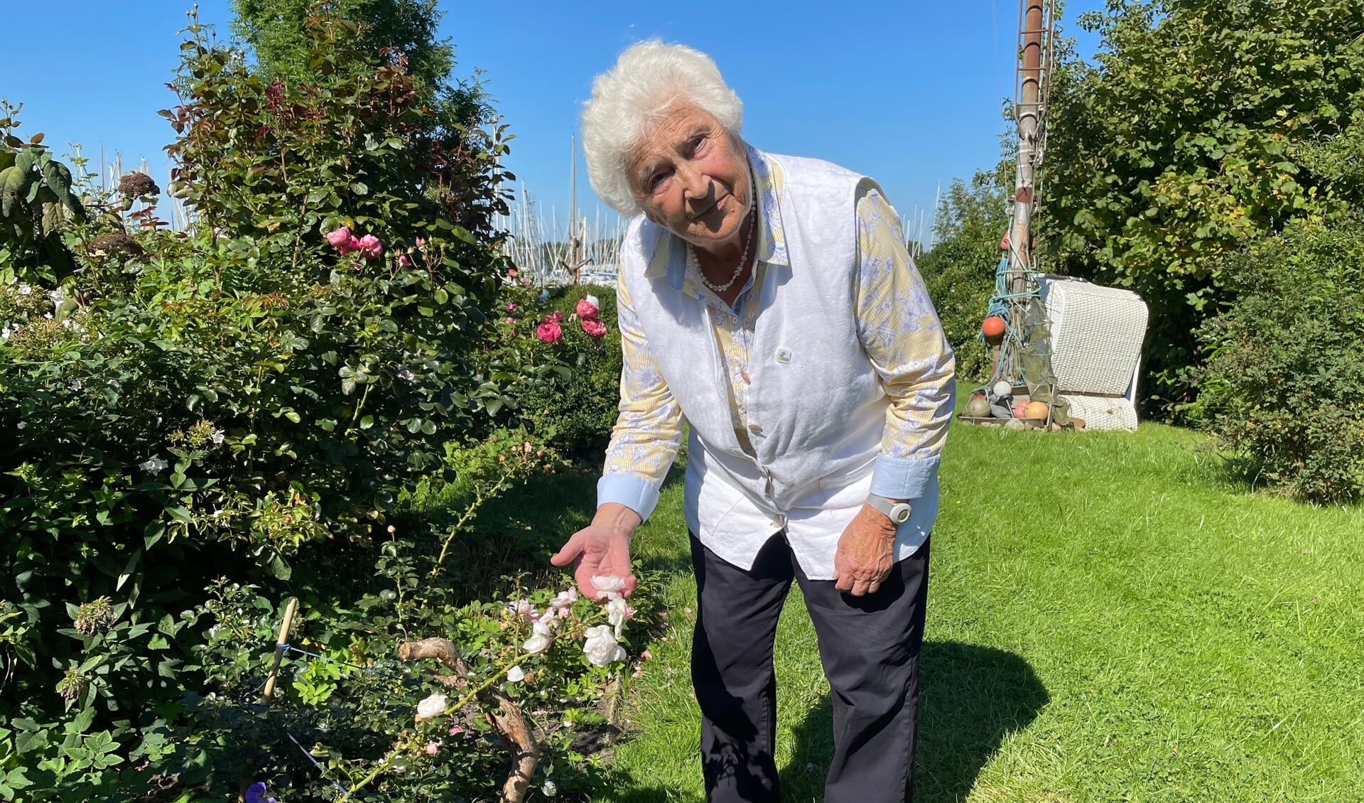 Lieselotte Wiese i sin have, som hun langt om længe og ad omveje fik anskaffet en Genforeningsrose til.