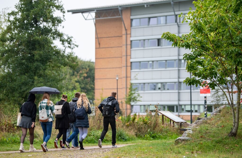 Efter tre semestre med hjemmeundervisning er der nu fysisk undervisning igen på universitetet. (Kira Kutscher)