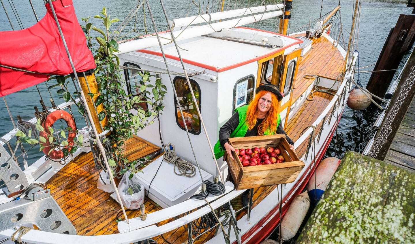 Æbledronningen Karin Baum kom sejlende med æbletræer og æbler fra Gråsten, da hun plantede æbletræer i Lyksborg Slotshave lørdag. (Tryk for at se flere fotos). Foto: