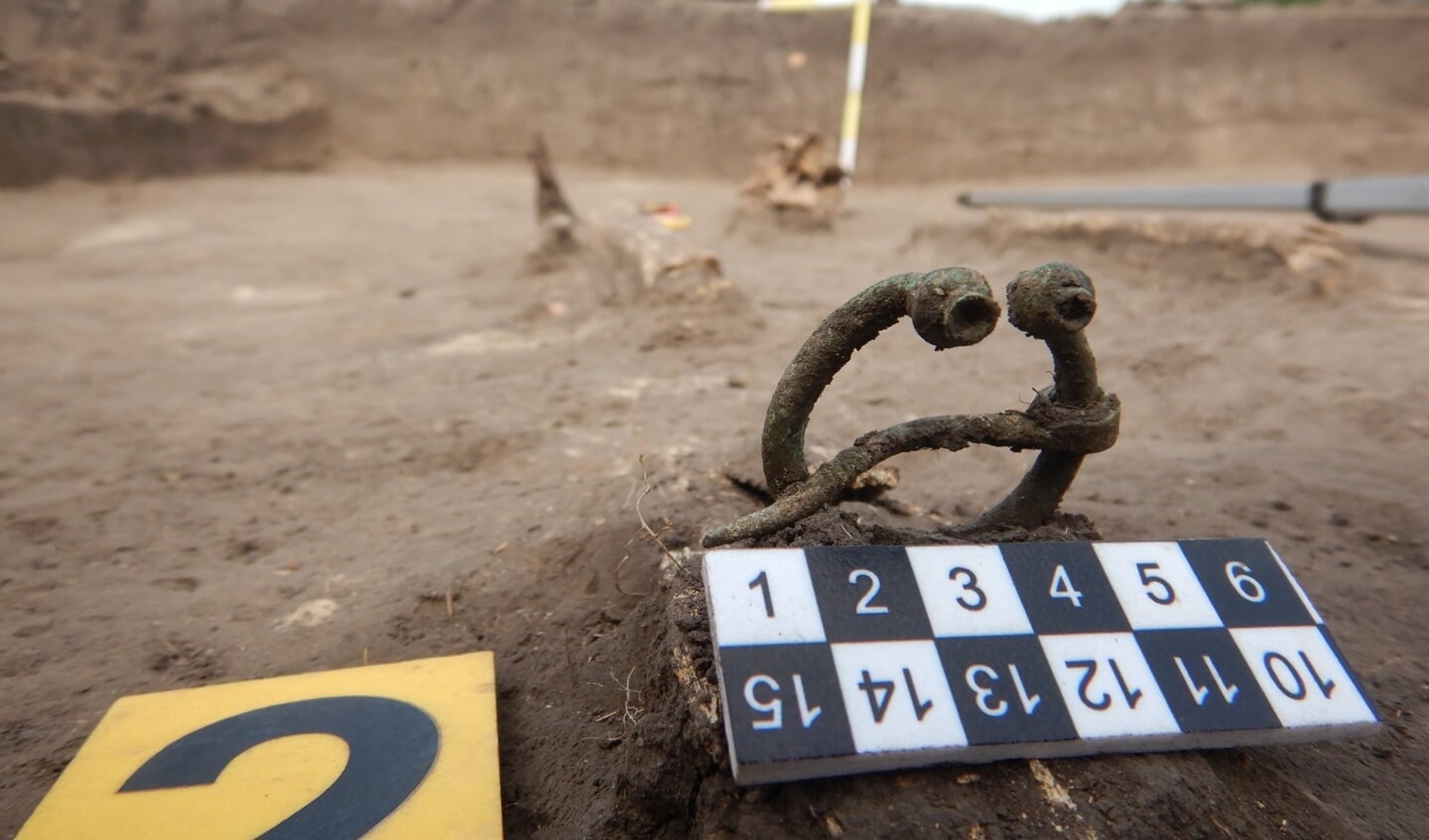 Hufeisenfibel vom westbaltischen Typ, entdeckt bei Ostriv im August dieses Jahres. Foto: