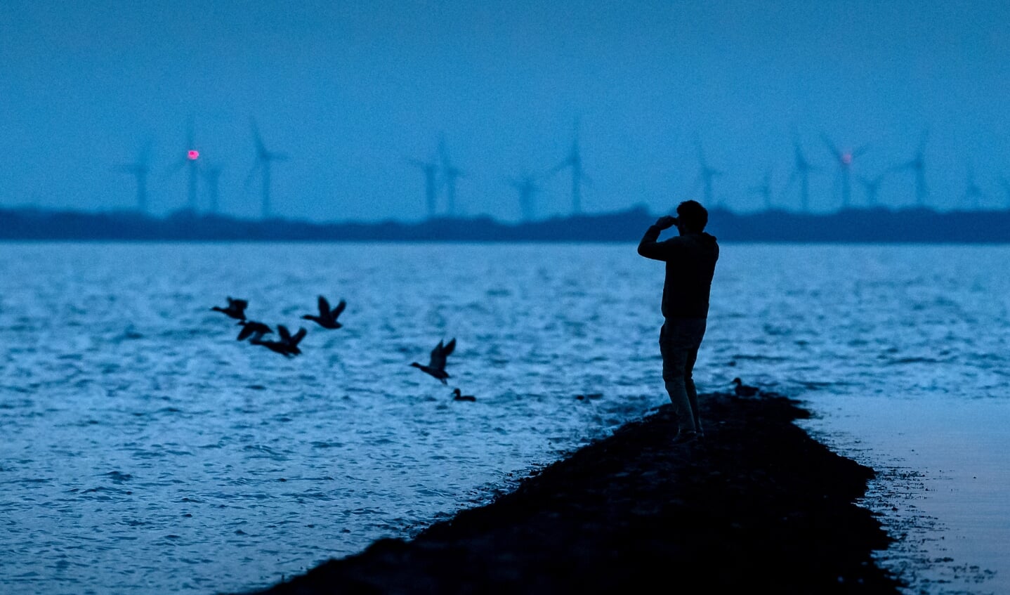 Bei der 14. trilateralen Wattenmeerkonferenz in Wilhelmshaven wollen Vertreterinnen und Vertreter der drei Anrainer Dänemark, Deutschland und der Niederlande von kommendem Montag an über ihre Zusammenarbeit für das Unesco-Weltnaturerbe beraten. Foto:
