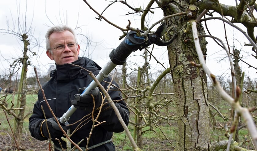 Henrik Petersen har optimismen i behold, selvom hans frugtplantage er ramt af høje energipriser og tilbageholdenhed hos forbrugerne. Arkivfoto: