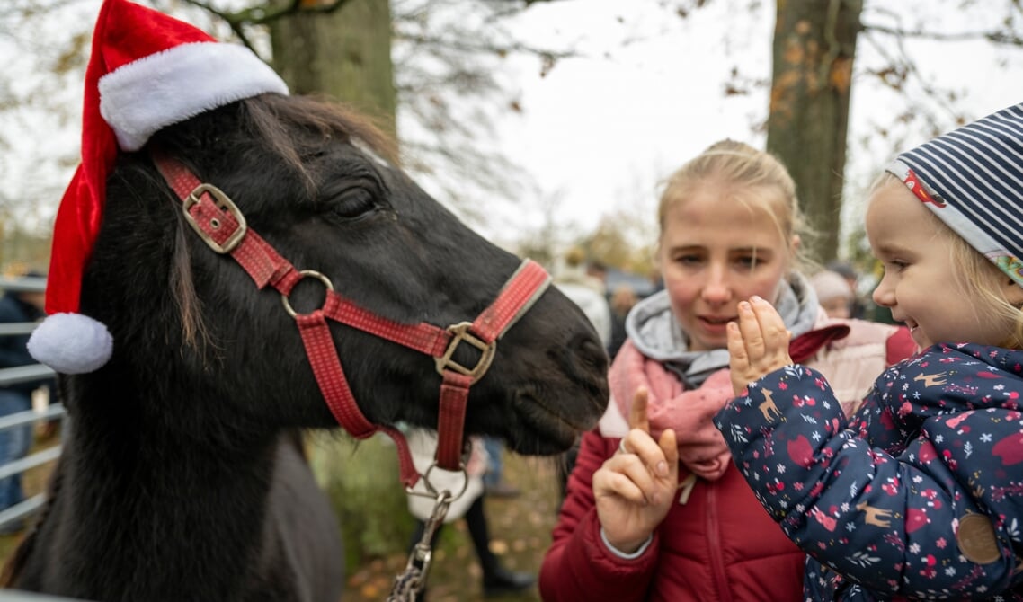 Mia Thiesen (2,5 år) og hendes mor Ines Albertsen med ponyen Comtessa. Foto: