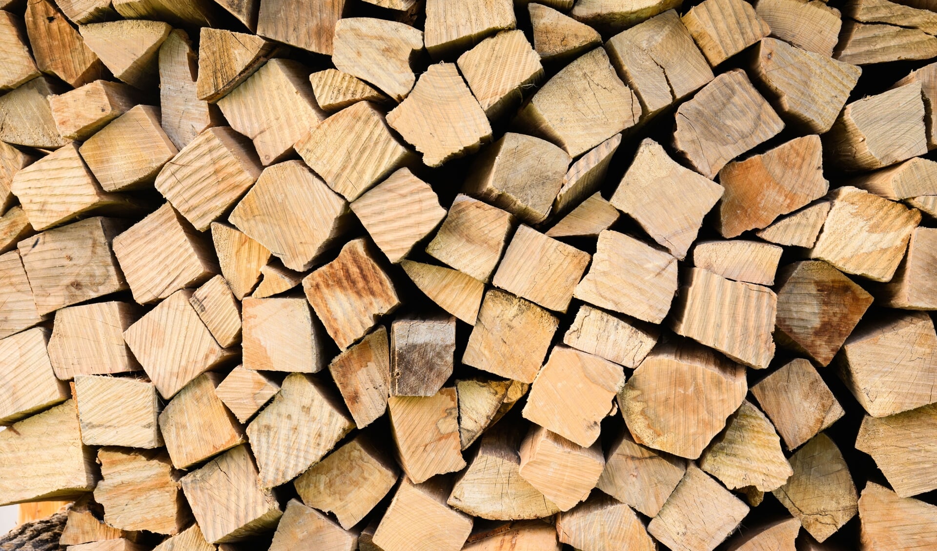 Trods stigende priser på brænde og mangel på træ til afbrændning sker der kun sporadisk tyveri af brænde i skovene i Slesvig-Holsten. Foto: