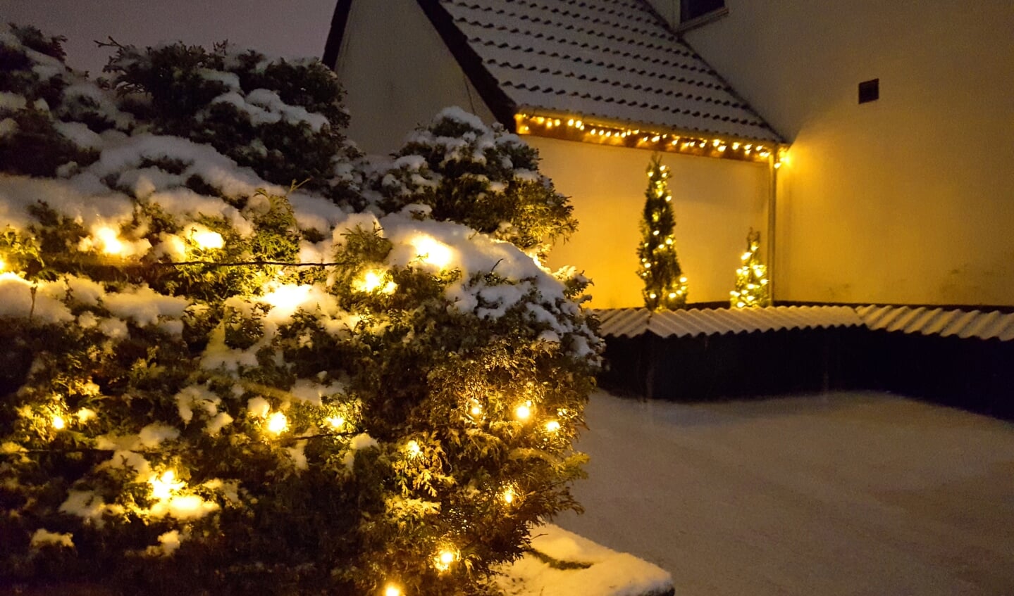 Meget julelys er sparet væk denne jul, men nogle holder fast og pynter op i haven. Foto: