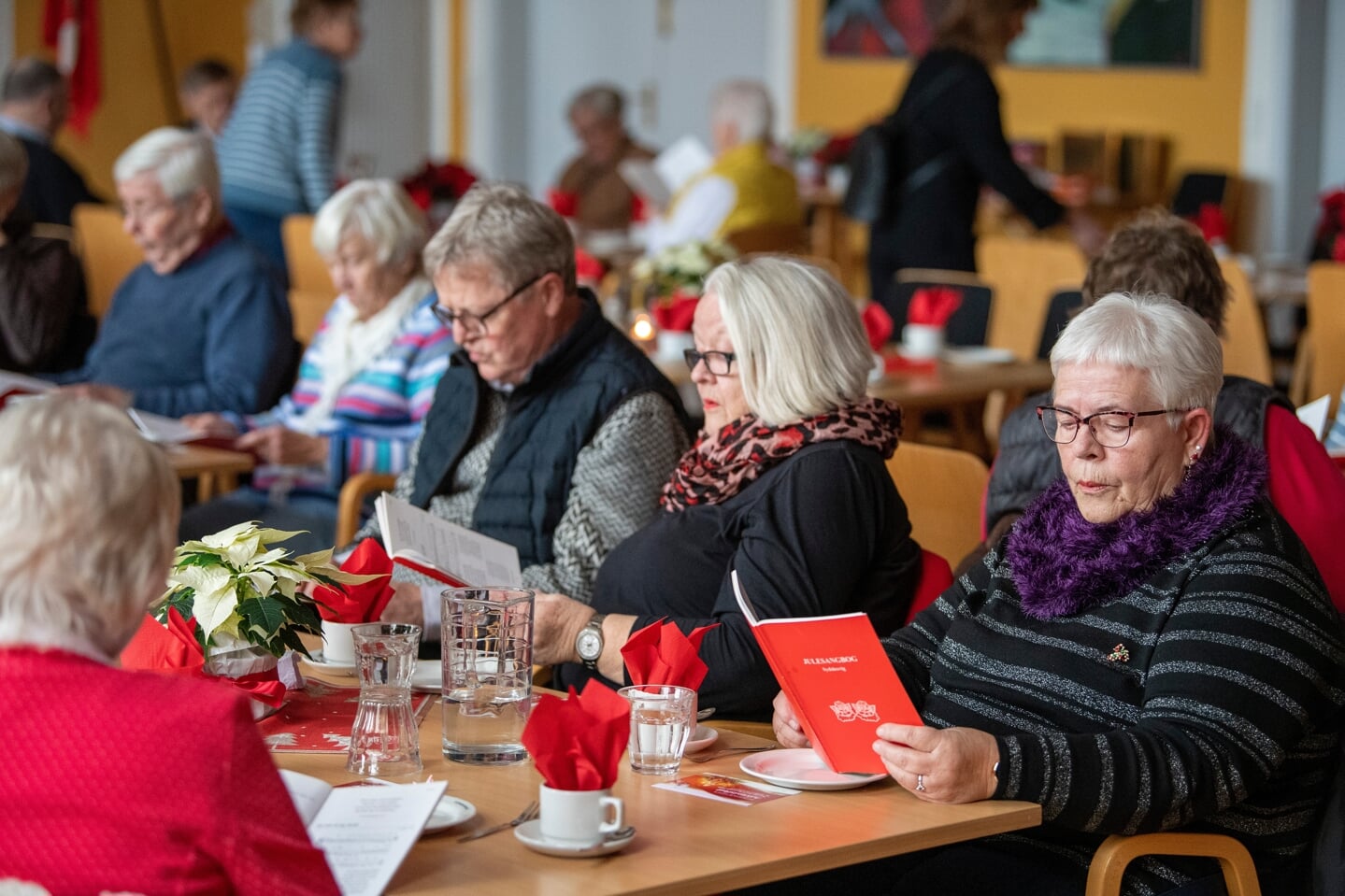 SSF Flensborg By havde torsdag inviteret til adventsfest 60+ i Flensborghus.