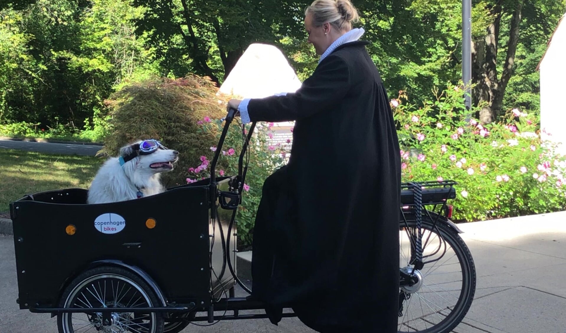 I august bliver Susanne Ivalo Rasmussen indsat som ny dansk præst på Sild. Med sig tager hun sin mand, Søren, to hunde og en kat. Her er den ene hund med på cykeltur foran hendes virkested gennem de seneste fem år, den danske kirke i Vancouver.