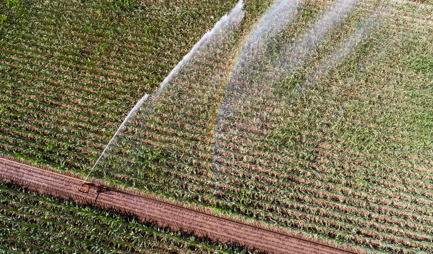 I juli i år var Tyskland plaget af en hedebølge, så landmændene frygtede for deres høst. Vejrforskere regner med, at situationen bliver endnu værre. Arkivfoto: