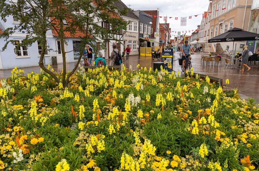 Tour de France i Sønderborg.