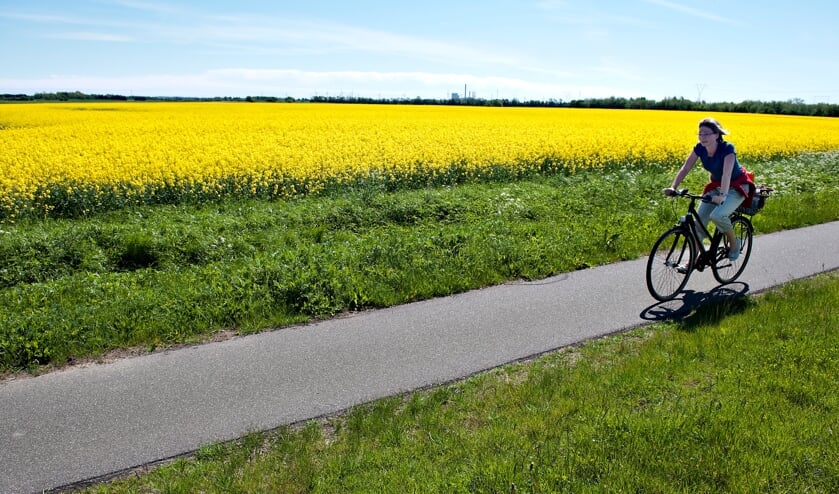 Danskerne er noget nær verdensmestre i cykling. Genrefoto:  