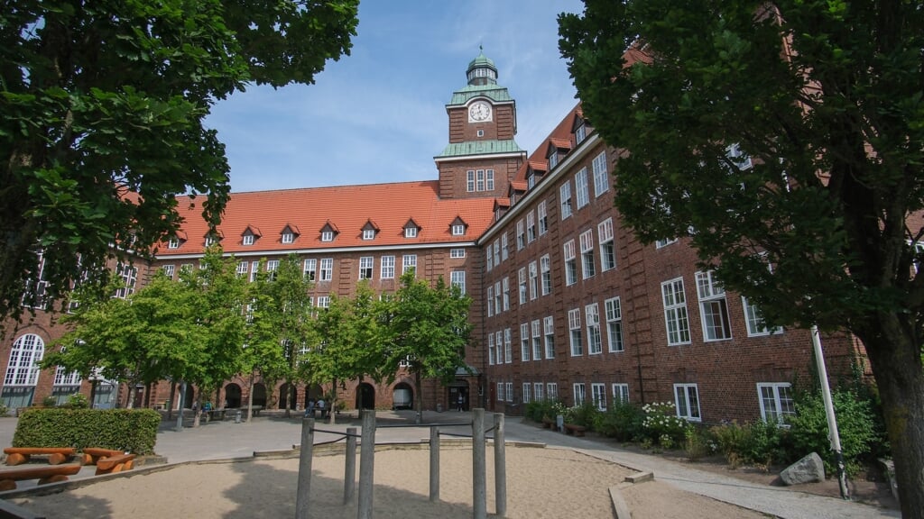 Alten Gymnasium er et af de gymnasier i Flensborg, som allerede tilbyder undervisning i dansk. Jette Waldinger-Thiering fra SSW mener, at det skal være et krav i grænseregionen. Foto: 