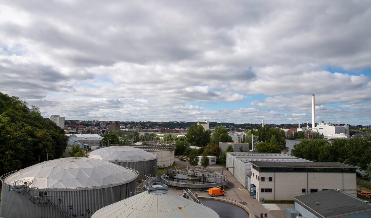 Et blik over rensningsanlægget i Flensborg. I baggrunden til højre skimtes Stadtwerke, som kan være en interessant samarbejdspartner i bestræbelserne på at forbedre miljøet i Flensborg Fjord. Foto:
