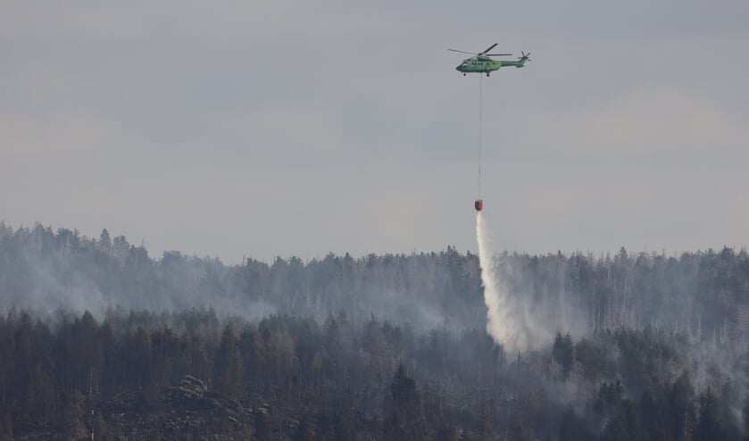 Området er svært tilgængeligt for brandfolkene, der i stedet satser på at slukke branden fra luften. Foto: