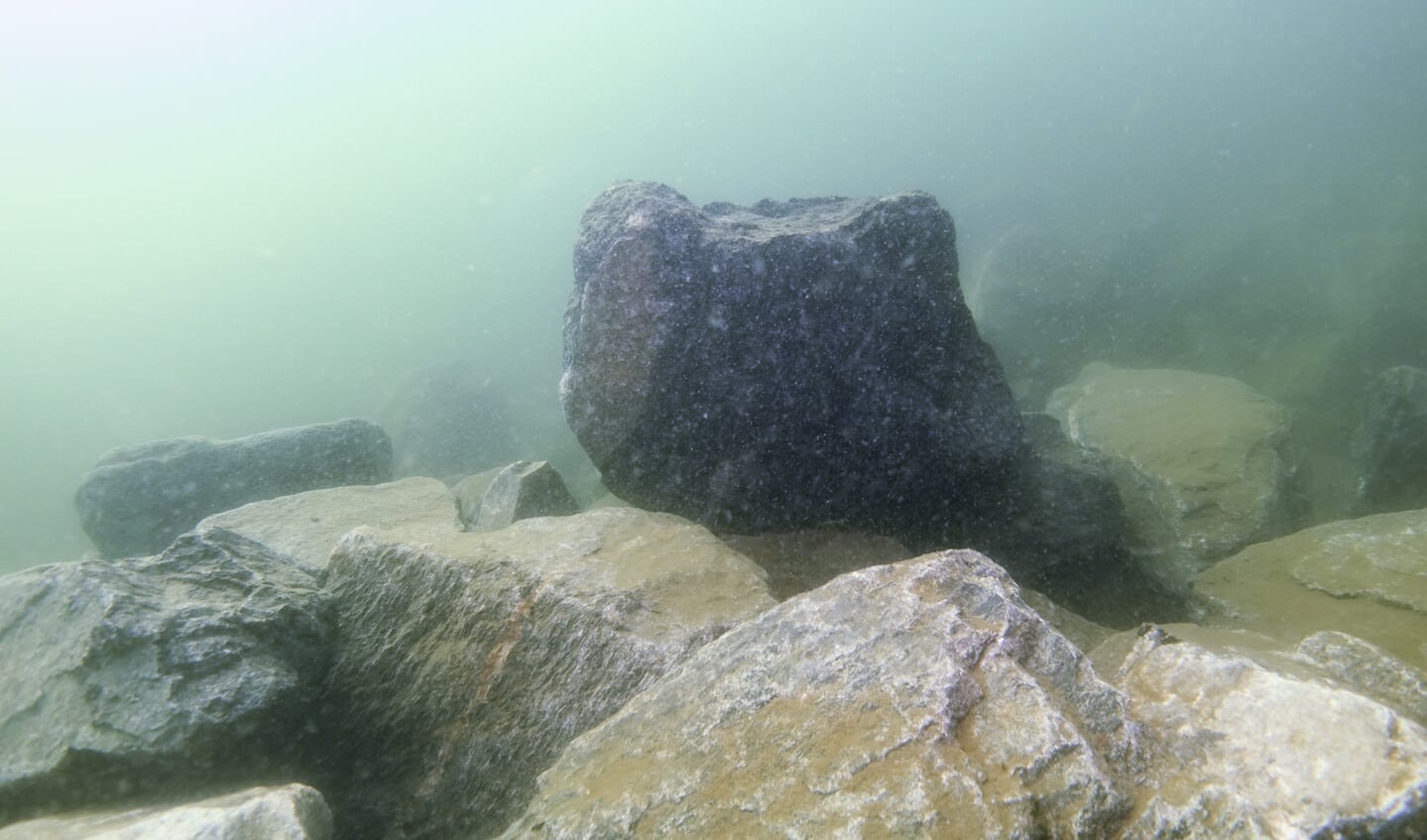 19 stenrev er der etableret siden 2012 ved Als og i Flensborg Fjord. Dermed er der genetableret levesteder for mange fiskearter. Foto: 