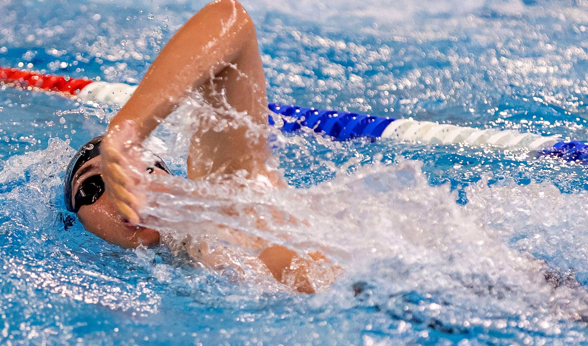 Die Schwimmer flogen förmlich durch das Wasser beim 47. Internationalen Fördepokal.