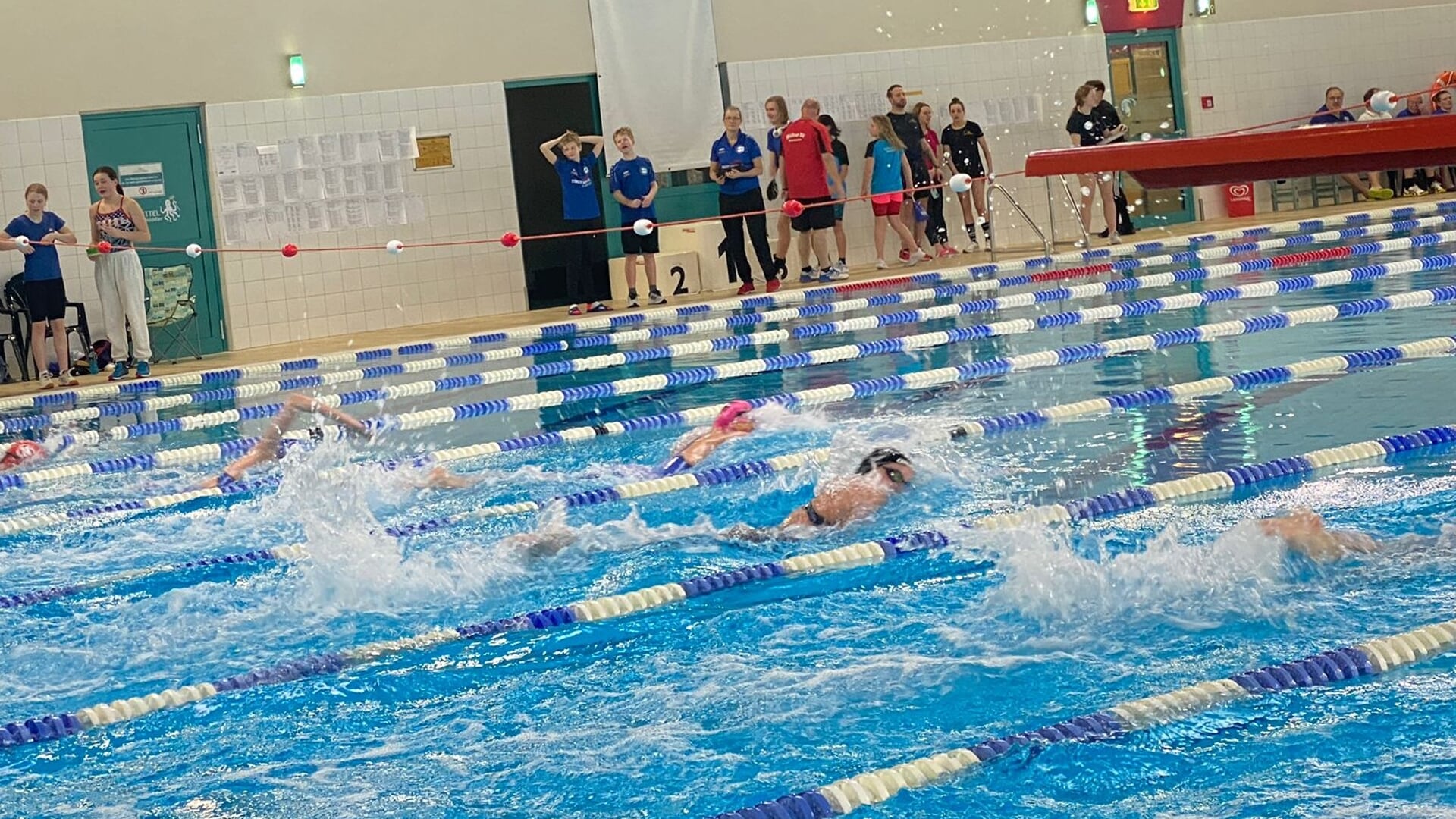 Die Schwimmer des TSB Flensburg konnten bei der Landesmeisterschaft auf der langen Strecke im Campusbad gute Ergebnisse erzielen.