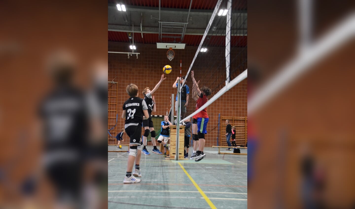 Die Jungs des TSB Flensburg spielten bei der U14-Landesmeisterschaft das anspruchsvollste Volleyball und gewannen verdient.