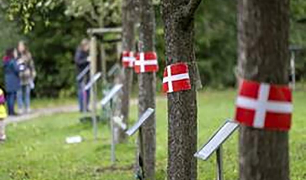Dannebrogsflag på en af de nye »fortællestier« i det dansk-tyske grænseland. Foto: