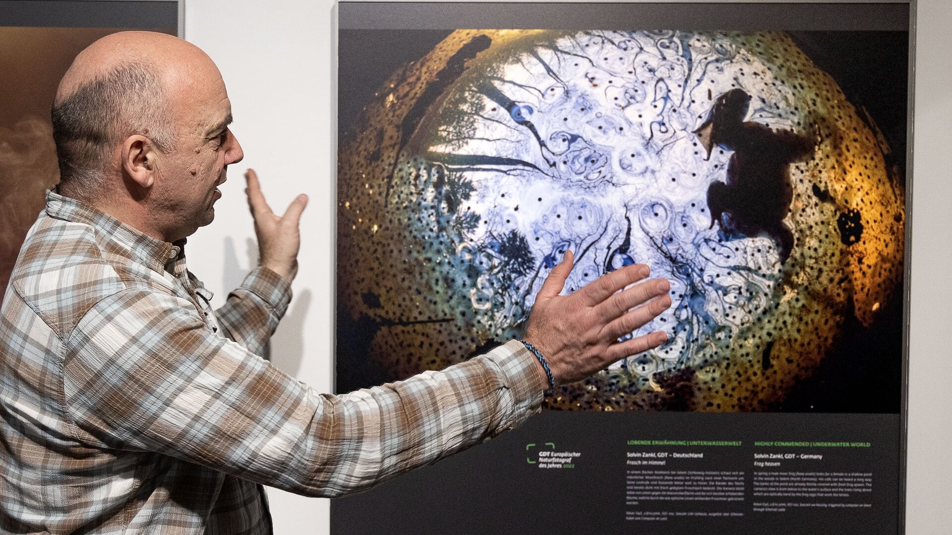 Naturfotograf Solvin Zankl udstiller sammen med andre naturfotografer på Stadtmuseum i Slesvig. Foto: 