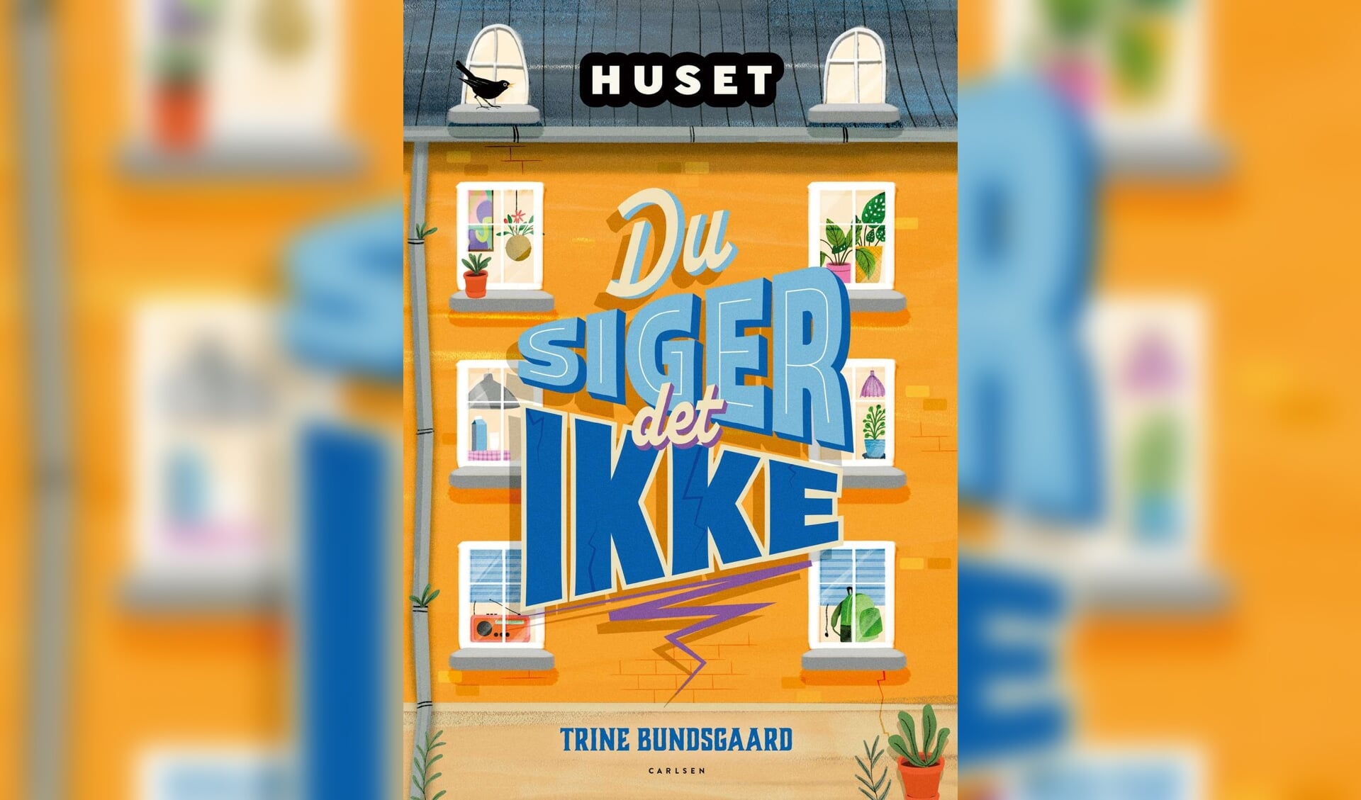 Titel: Du siger det ikke
Serie: Huset
Forfatter: Trine Bundsgaard
Forlag: