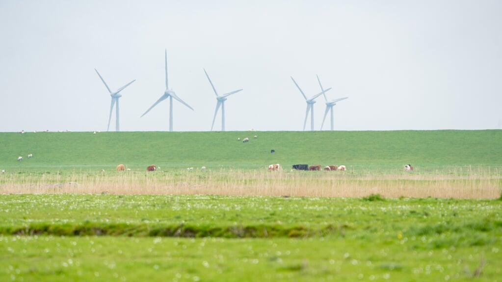 Sammenlignet med det øvrige Nordfrisland er der meget få vindmøller på Ejdersted. Fortalerne for flere mener, at der stadigvæk vil være god plads til kig ud i horisonten. Arkivfoto: