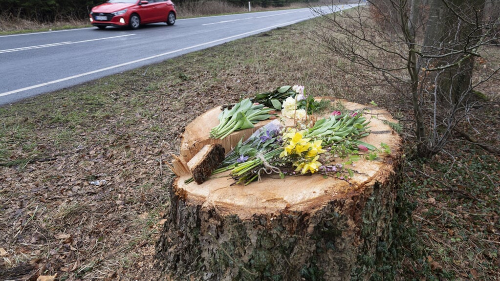 Gerningsstedet på Parnasvej ved Sorø, hvor en 55-årig mand natten til onsdag blev dræbt af et væltet træ. Foto: 