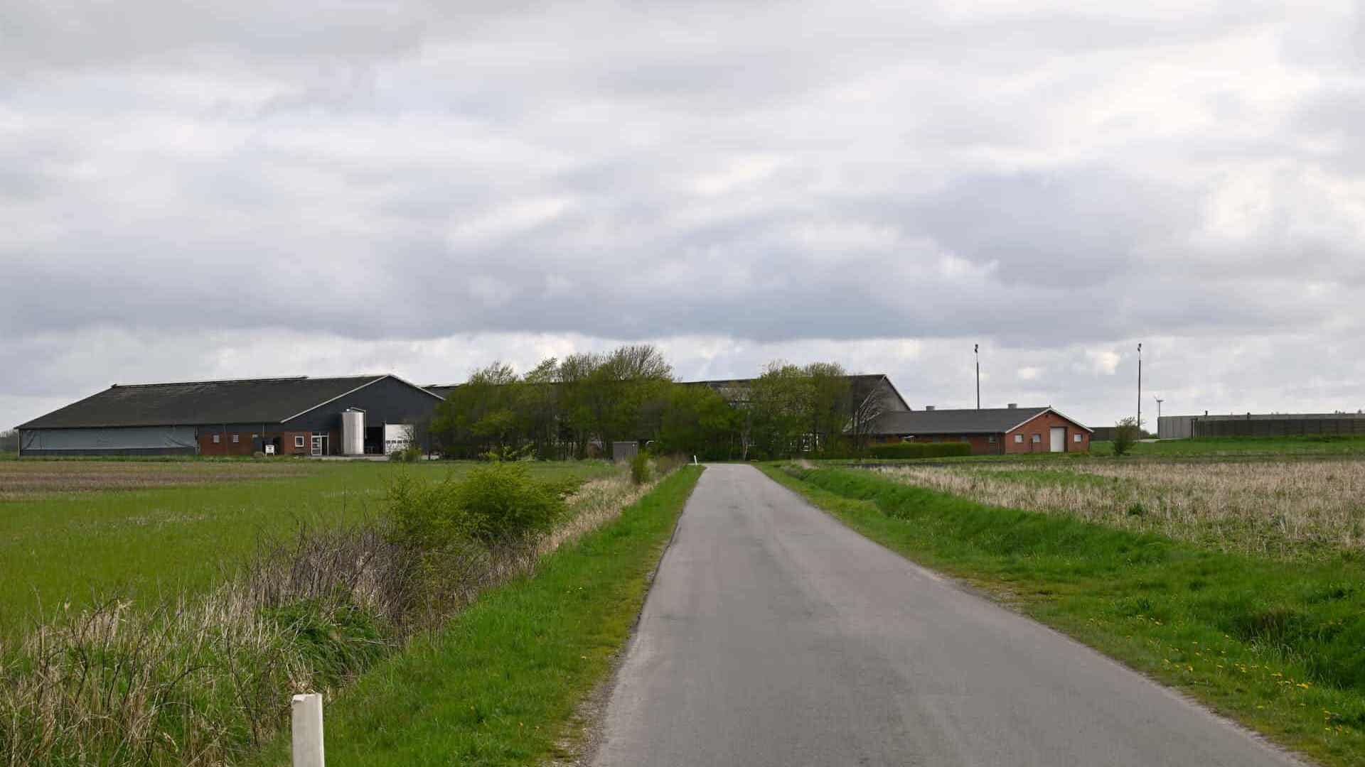 1/2
Et af de store opkøb, som virksomheden Olvo står bag, er gården på Høgslundvej 3 med tilhørende landbrugsarealer. Prisen er knap 27,9 millioner kroner. Foto: 