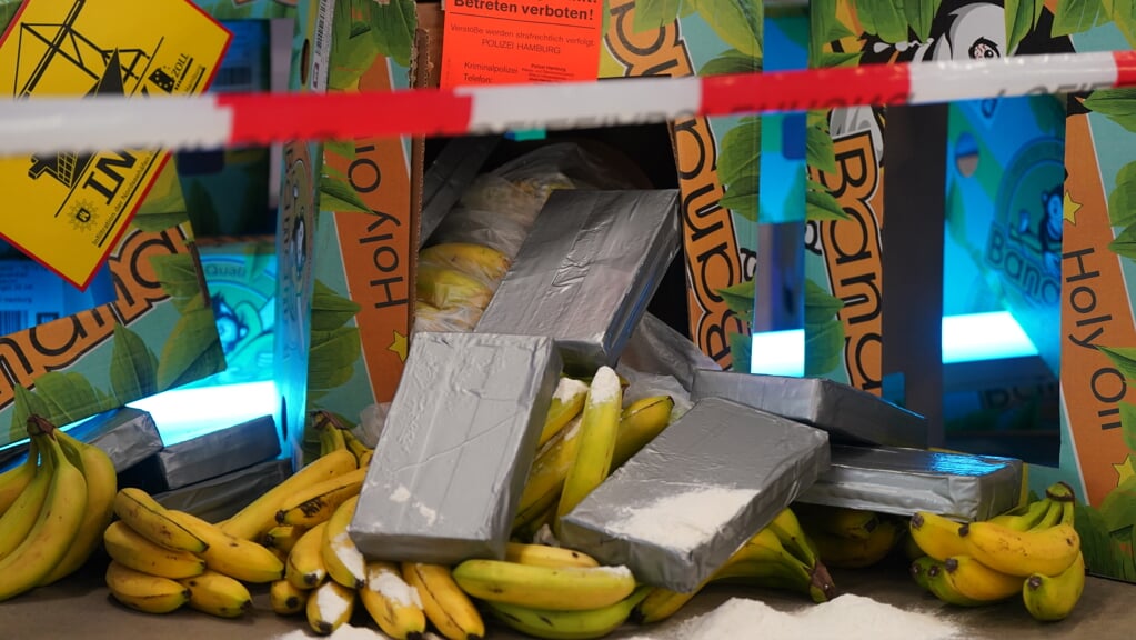 Narkokartellerne gemmer blandt andet kokainen i containere med bananer. Foto: 