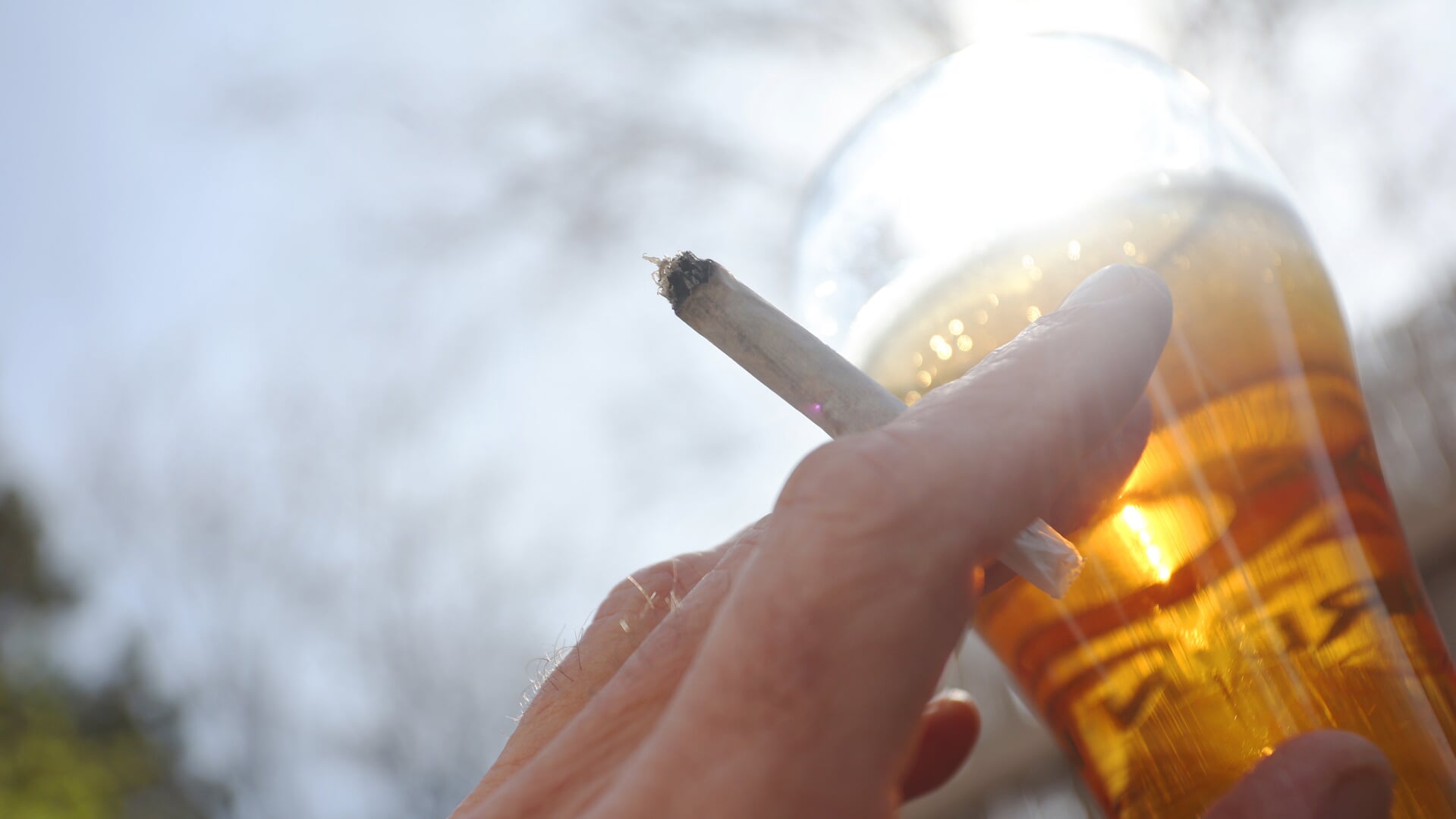 En joint holdes i hånden ved siden af et glas øl. Foto: