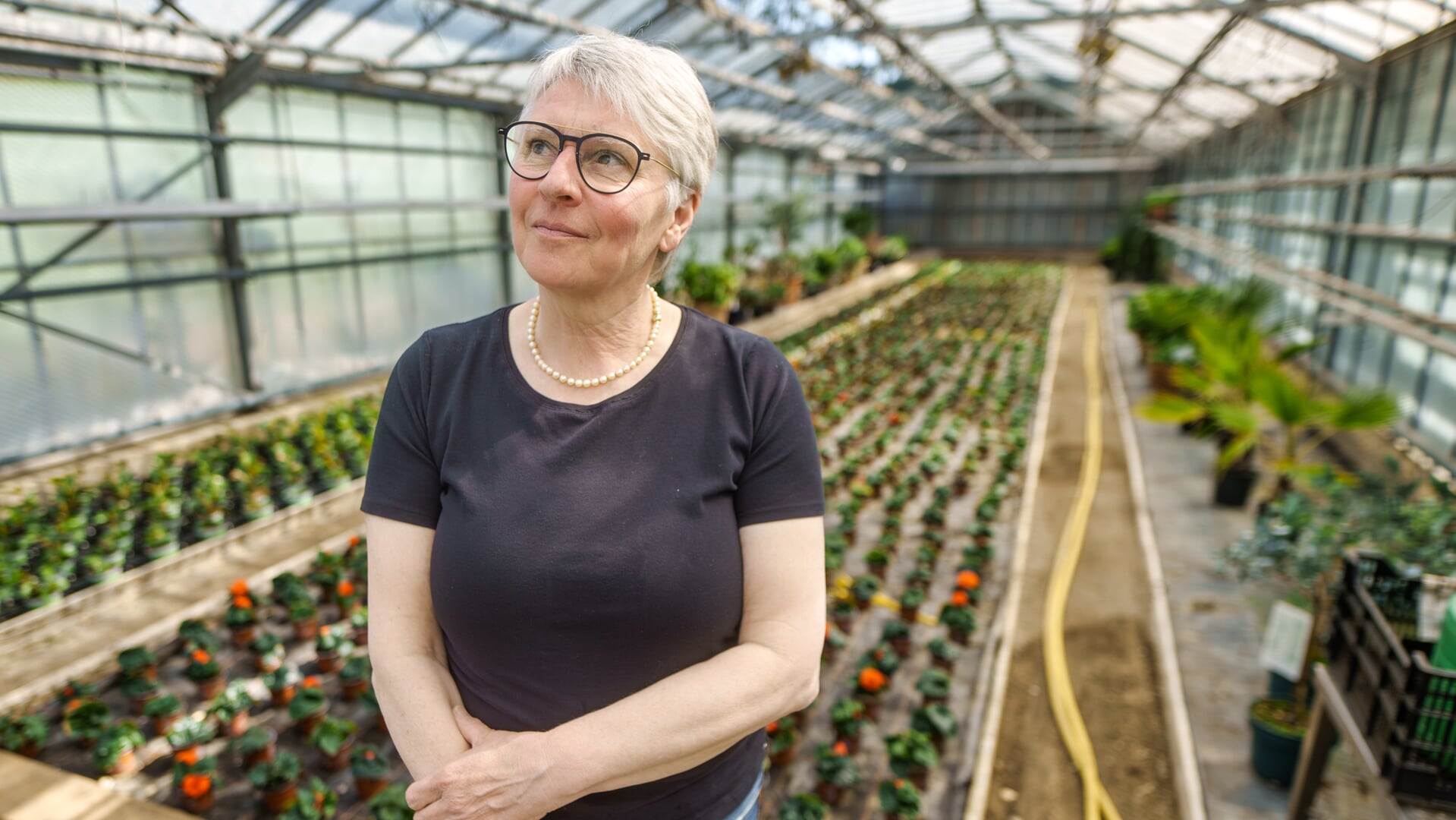 Nach 105 Jahren: Blumen Fischer schließt - nyheder & baggrundstof fra ...