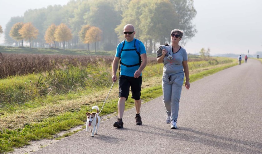 Komende zaterdag, 12 oktober, kan in IJzendijke worden deelgenomen aan de jaarlijkse Herfstwandeltocht. Foto IJzendijke.org