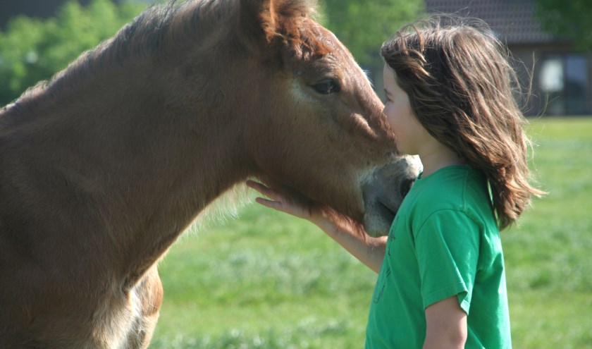 Voor kinderen is het een echte belevenis. Foto PR