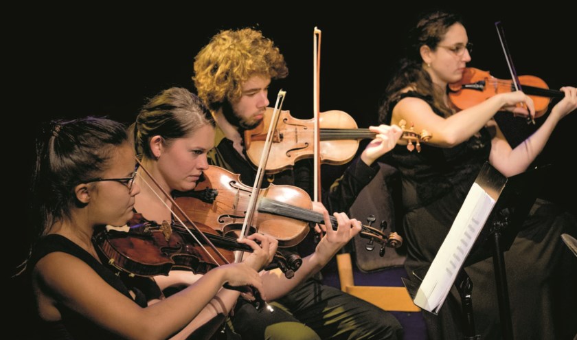 Het Ataneres Ensemble speelt in Westdorpe en Groede. Foto PR