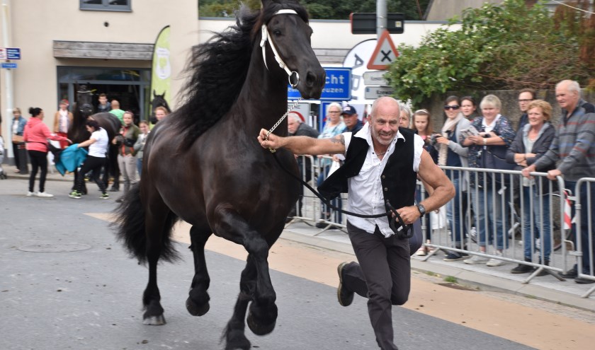 Paardenliefhebber Rik De La Ruelle. Foto Marnik Cooreman
