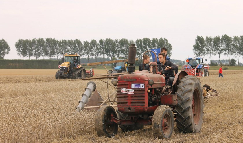 Aan de Kruisdijkweg in Groede zullen ook talrijke oldtimertractoren te bewonderen zijn.