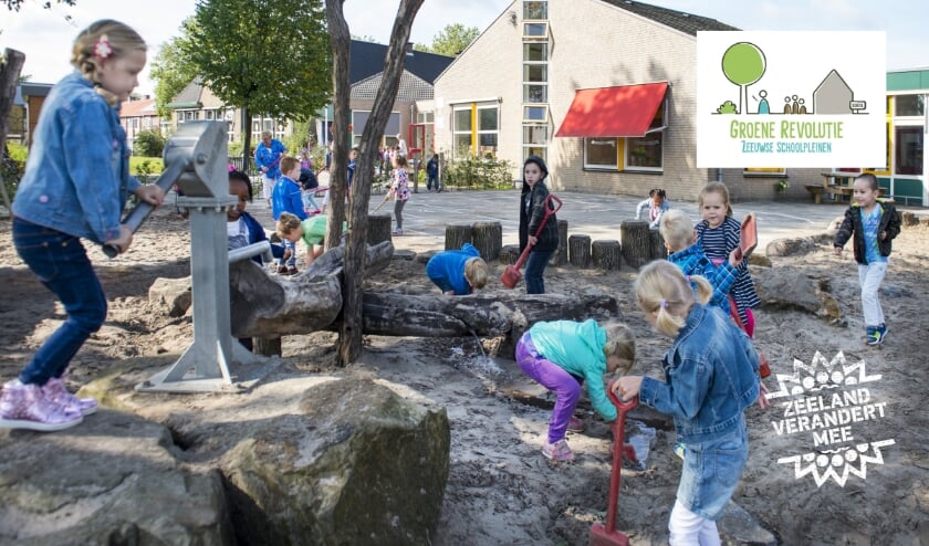 De gemeente Terneuzen kleurt groen. Vorige week is bekend geworden dat er drie basisscholen aanhaken bij de Groene Revolutie Zeeuwse Schoolpleinen.