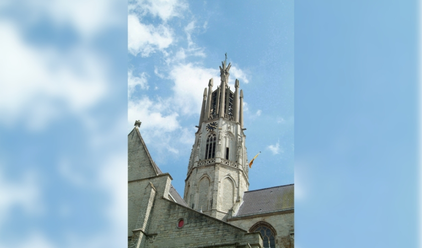 Basiliek Hulst