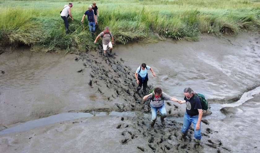 Voor excursies in Saeftinghe gelden aangepaste regels. Foto Het Zeeuwse Landschap
