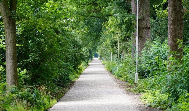 De Burgstsedreef is voorzien van een nieuwe toplaag van fijn grind