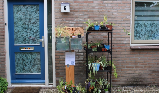 Plantenbieb, Bergdreef 6,