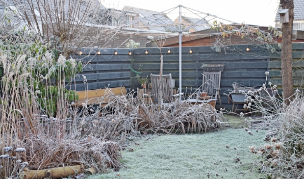 <p>Geen sneeuw, maar wel wit...</p>