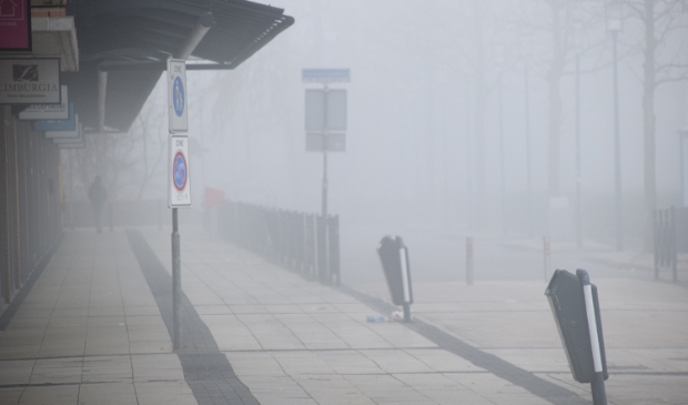 <p>Haagse Beemden in de ochtendmist</p>