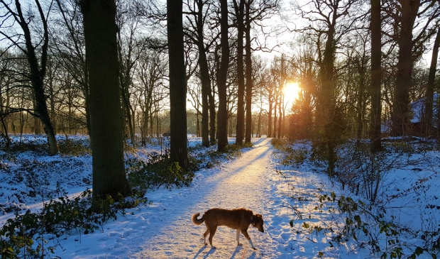 <p>Nog even genieten van de sneeuw</p>